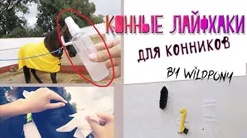 КОННЫЕ ЛАЙФХАКИ | сделала кондёр для гривы? | by WildPony