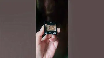 Wet N Wild Glitter Eyeshadow | #swatch #review #shortvideo